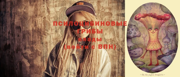 стаф Верхний Тагил
