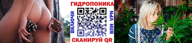 хочу   Лахденпохья  Бошки Шишки сатива 